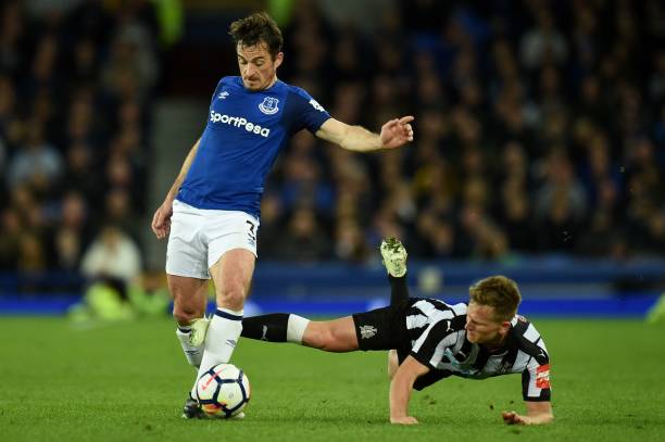 体的宠儿和 体的宠儿和